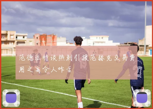 范德法特谈热刺引援范赫克交易费用之高令人咋舌