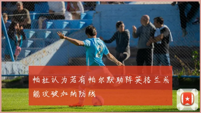 帕杜认为若有帕尔默助阵英格兰或能攻破加纳防线